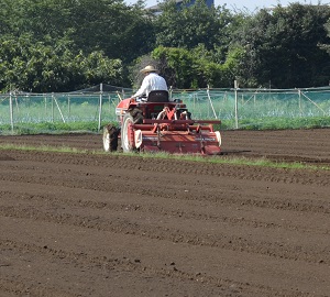 2019年度 鹿室のコスモス畑にコスモスの種を蒔くときの様子 写真2枚目