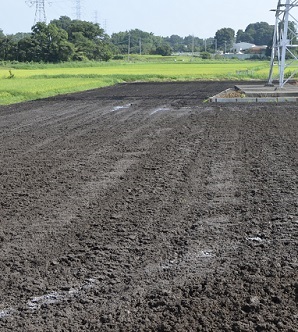 2019年度 鹿室のコスモス畑にコスモスの種を蒔くときの様子 写真3枚目