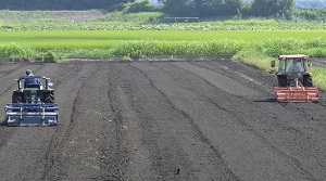 2019年度 鹿室のコスモス畑にコスモスの種を蒔くときの様子 写真4枚目