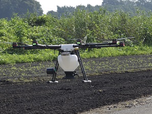 2019年度 鹿室のコスモス畑にコスモスの種を蒔くときの様子 写真7枚目