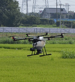 2019年度 鹿室のコスモス畑にコスモスの種を蒔くときの様子 写真9枚目