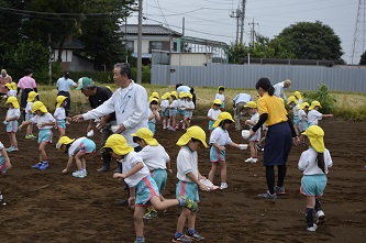 幼稚園児が種蒔きをしている様子の写真4枚目