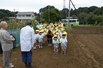 幼稚園児が種蒔きを終えたあとの写真2枚目