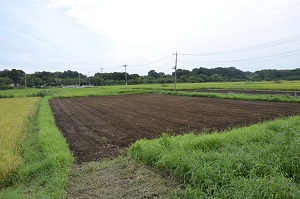 ２０１７年度鹿室コスモス祭りにむけて種を蒔く為に耕したところの写真