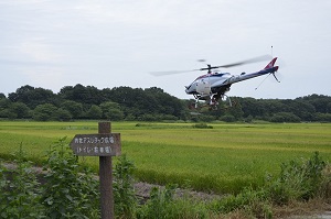 無人ヘリでコスモスの種を蒔いている写真の1枚目