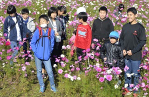 2018年度鹿室コスモス祭りでのウオーキングに参加したスポーツクラブの少年達の写真5枚目