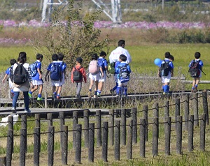 2018年度鹿室コスモス祭りでのウオーキングに参加した人達の写真4枚目