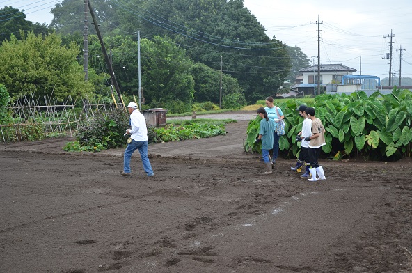 鹿室コスモス 2024年度 コスモスの種をハート型に蒔いた写真7枚目