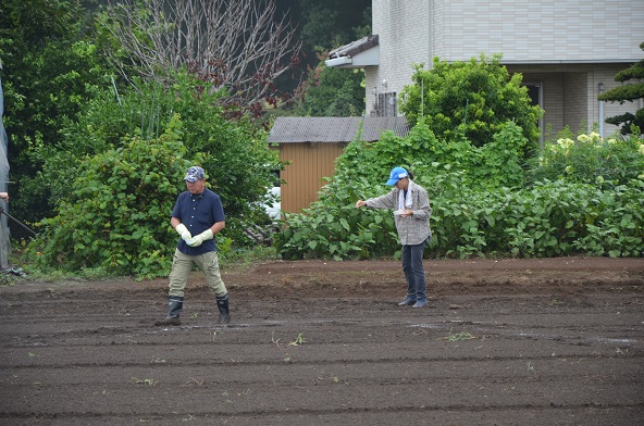 鹿室コスモス 2024年度 コスモスの種をハート型に蒔いた写真14枚目