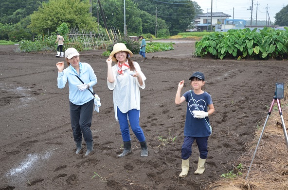 鹿室コスモス 2024年度 コスモスの種をハート型に蒔いた写真15枚目