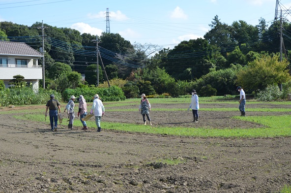 鹿室コスモス 2024年9月14日　完全なハート型になるよう修正している様子の写真4枚目