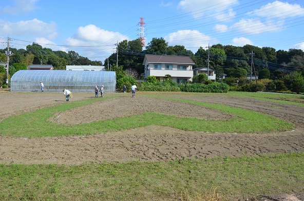 鹿室コスモス 2024年9月14日　完全なハート型になるよう修正している様子の写真5枚目