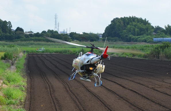 鹿室コスモス 2025年度 コスモスの種蒔を行った様子の写真5枚目