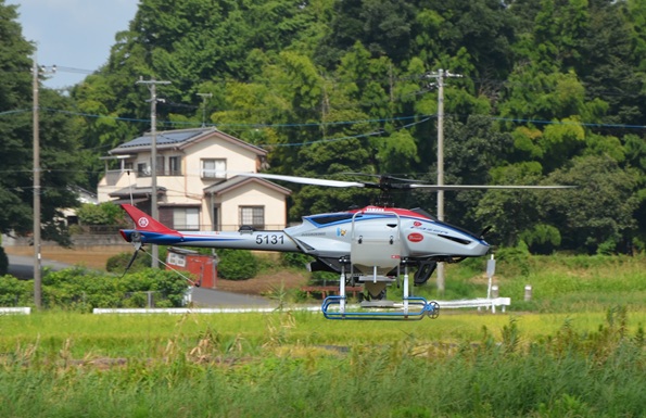 鹿室コスモス 2025年度 コスモスの種蒔を行った様子の写真8枚目
