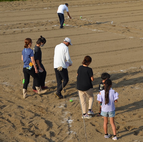 鹿室コスモス 2025年度9月20日 幼稚園児・小学生・中学性にてコスモスの種蒔を行った様子の写真13枚目