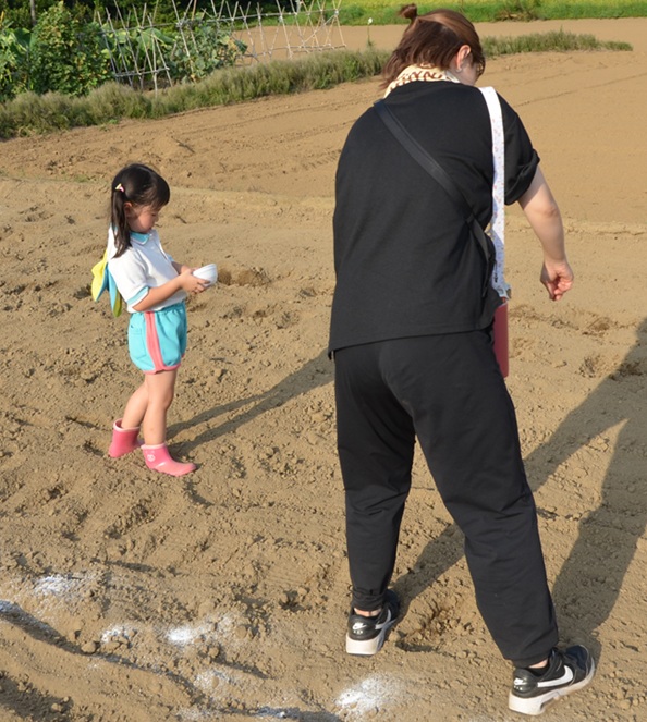 鹿室コスモス 2025年度9月20日 幼稚園児・小学生・中学性にてコスモスの種蒔を行った様子の写真16枚目