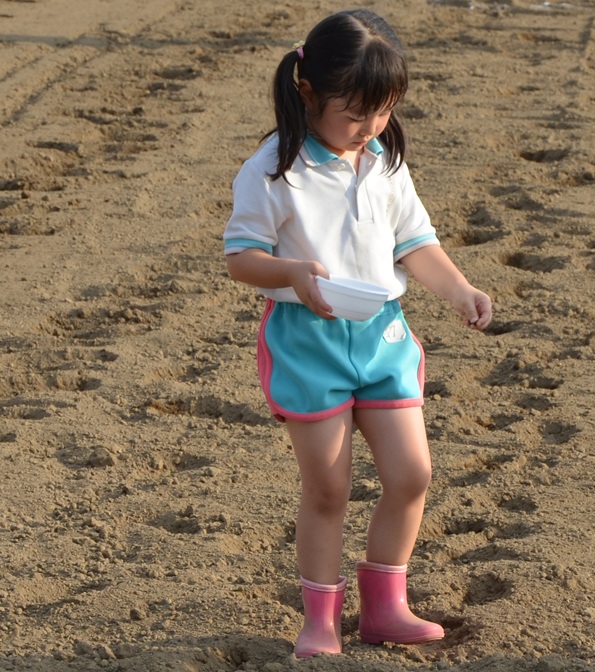 鹿室コスモス 2025年度9月20日 幼稚園児・小学生・中学性にてコスモスの種蒔を行った様子の写真18枚目