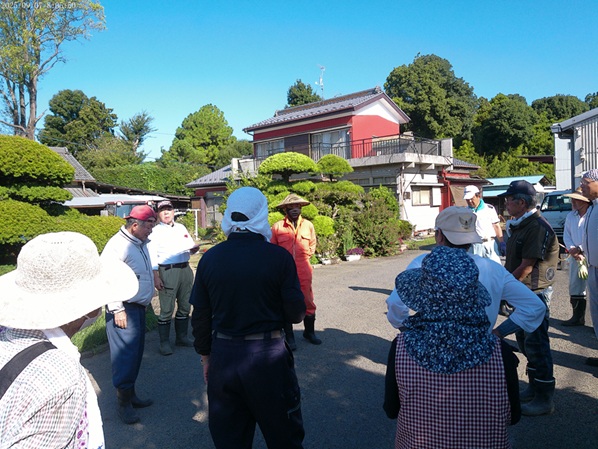 鹿室コスモス　2025年9月7日コスモス畑の除草作業の画像1枚目