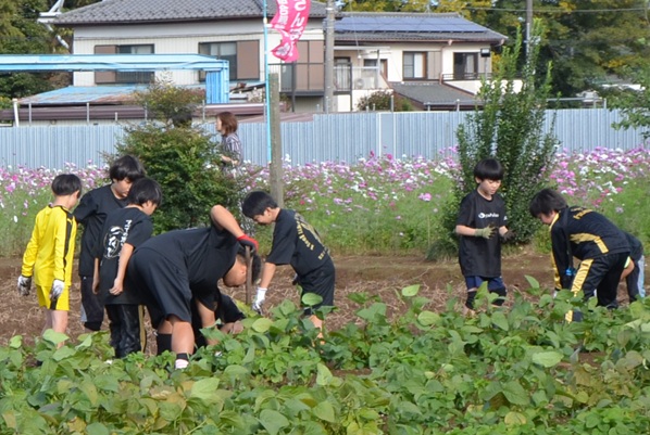 鹿室コスモス 地域の絆で咲かせた「コスモス祭り」2025年11月01日の画像3枚目