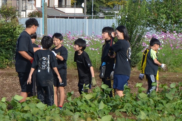 鹿室コスモス 地域の絆で咲かせた「コスモス祭り」2025年11月01日の画像4枚目