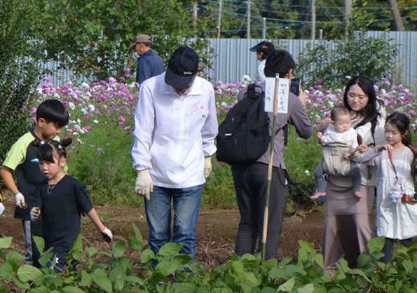 鹿室コスモス 地域の絆で咲かせた「コスモス祭り」2025年11月01日の画像5枚目