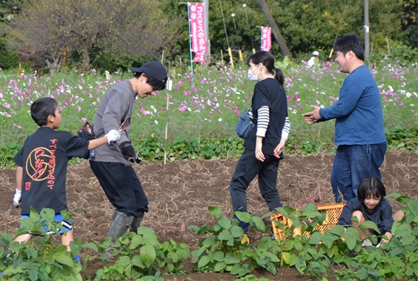 鹿室コスモス 地域の絆で咲かせた「コスモス祭り」2025年11月01日の画像6枚目