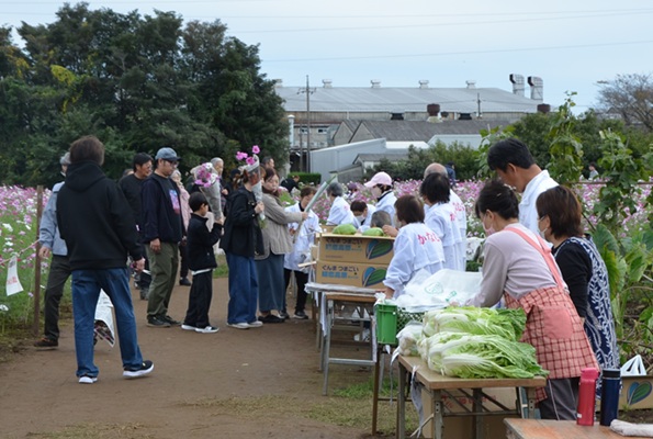 鹿室コスモス 地域の絆で咲かせた「コスモス祭り」2025年11月02日の画像6枚目