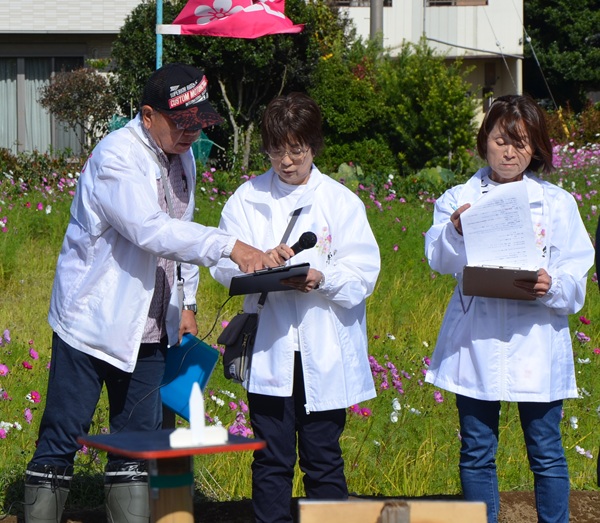 鹿室コスモス 地域の絆で咲かせた「コスモス祭り」2025年11月03日の画像2枚目