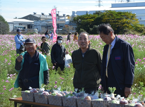 鹿室コスモス 地域の絆で咲かせた「コスモス祭り」2025年11月03日の画像4枚目