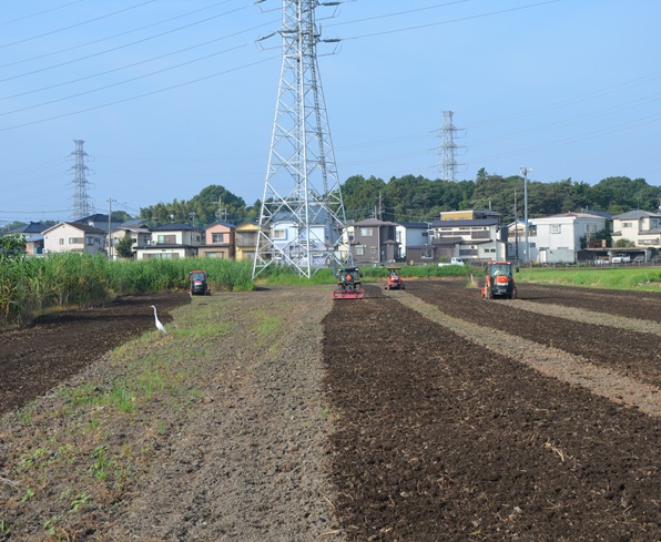 鹿室のコスモス畑の種蒔き準備のために休耕田をトラクターで耕している画像4枚目