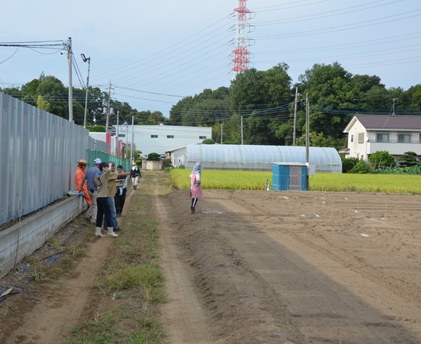 鹿室のコスモス畑にコスモスによる迷路作る作業の画像2枚目