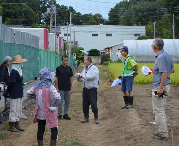 鹿室のコスモス畑にコスモスによる迷路作る作業の画像11枚目