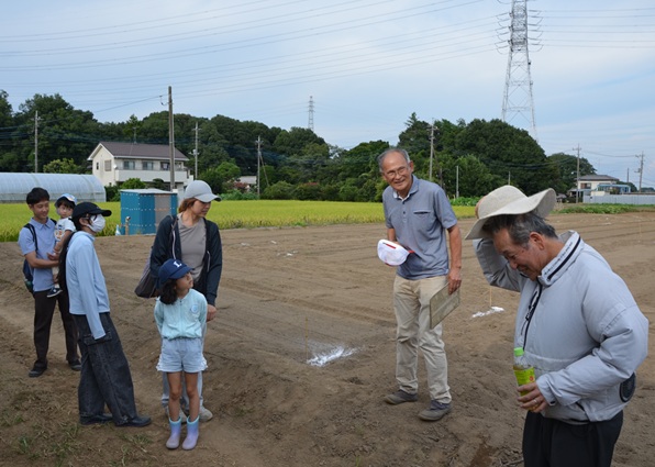 鹿室のコスモス畑にコスモスによる迷路作る作業の画像12枚目