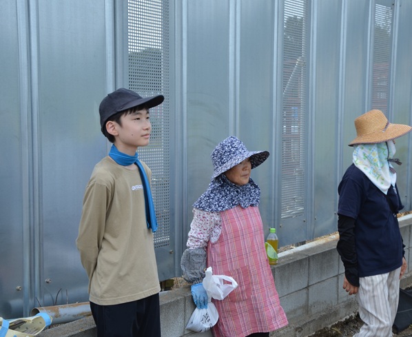 鹿室のコスモス畑にコスモスによる迷路作る作業の画像15枚目
