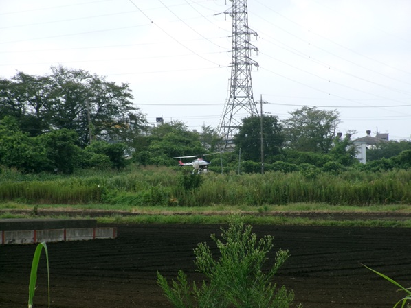 鹿室のコスモス畑にラジコンヘリを使ってコスモスの種まき作業を行った画像3枚目