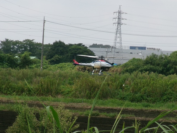 鹿室のコスモス畑にラジコンヘリを使ってコスモスの種まき作業を行った画像4枚目
