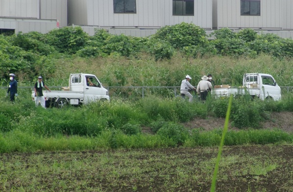 鹿室のコスモス畑にラジコンヘリを使ってコスモスの種まき作業を行った画像7枚目