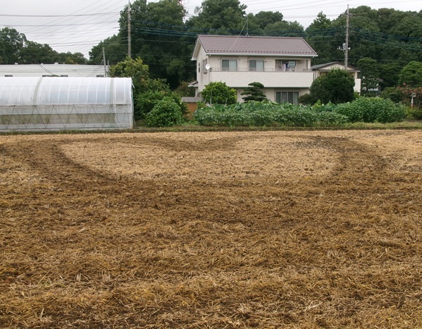 鹿室コスモス祭りのメイン会場となる高台の一面にハート型の区画造成作業を行った画像4枚目